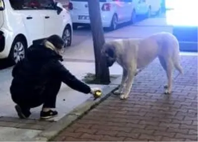 Salgın günlerinde 'iyilik hareketi' yüzleri güldürdü Salgın günlerinde 'iyilik hareketi' yüzleri güldürdü