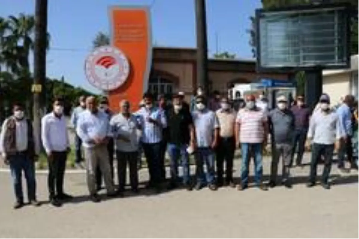 Soğan ve patates üreticisi hasadı durdurdu