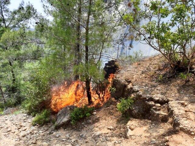 Antalya'da yumurta pişirirken orman yangını çıkaran kişi gözaltına alındı