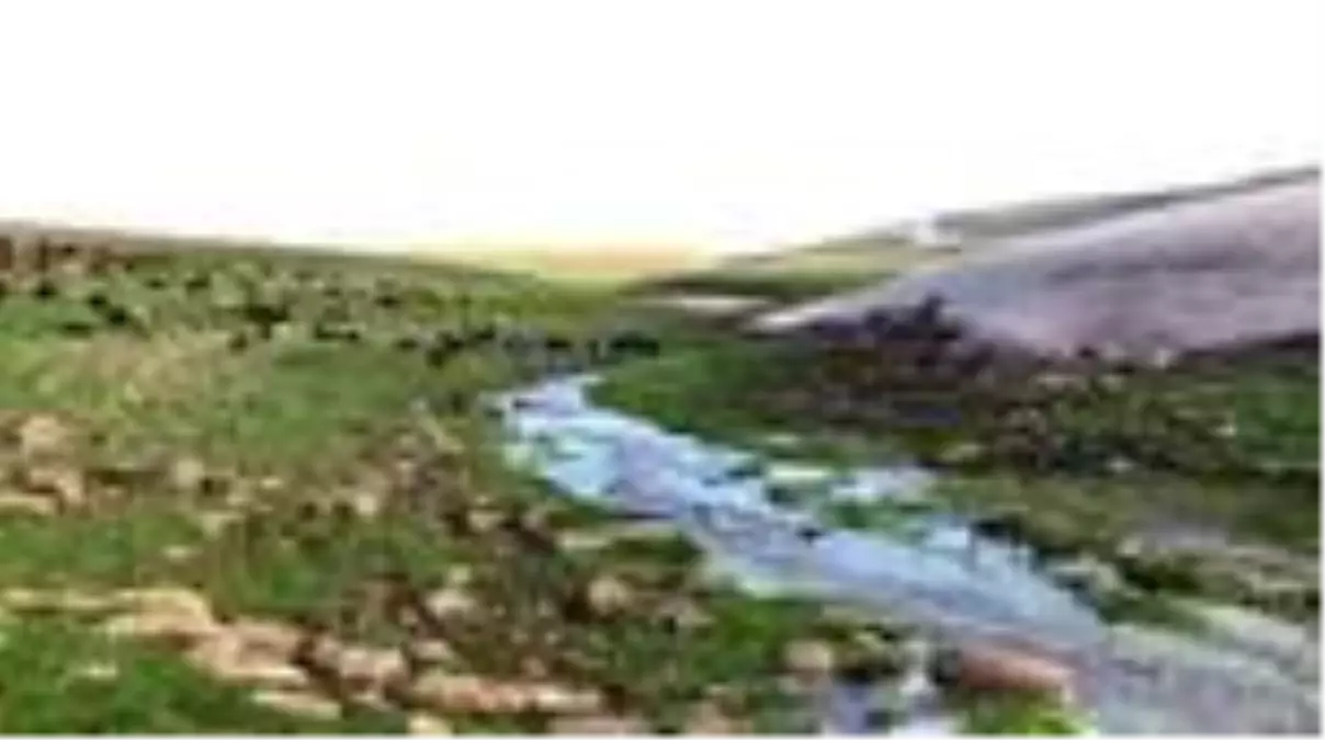 Aras Dağları kar sümbülleriyle renklendi