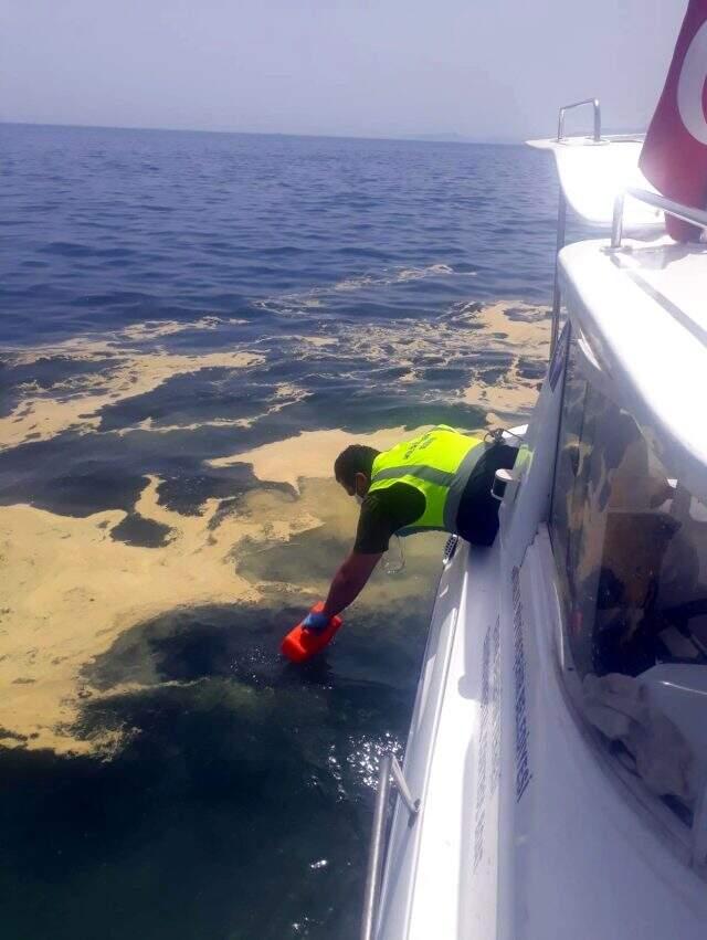Belediye görevlileri inceledi, esrarengiz sarı tabakanın ne olduğu ortaya çıktı
