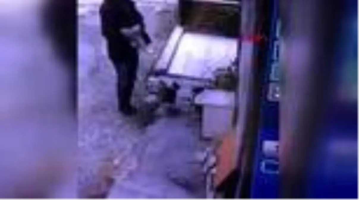 İzmir'de, 'saksı' hırsızlığı kamerada