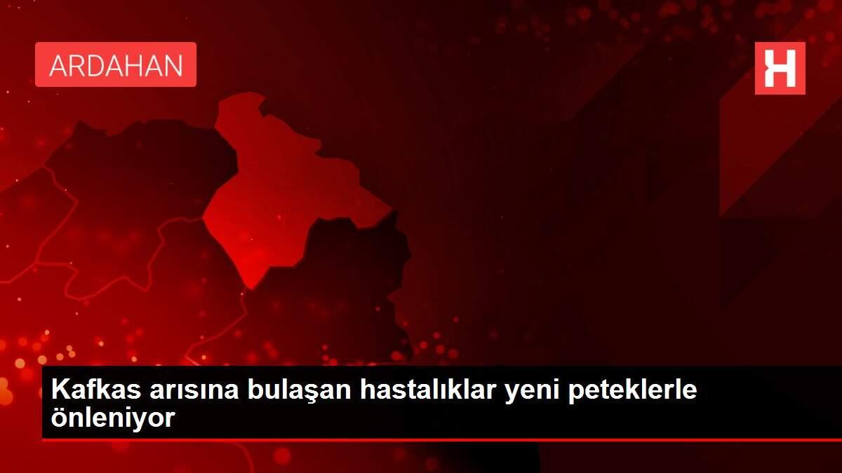 Kafkas arısına bulaşan hastalıklar yeni peteklerle önleniyor