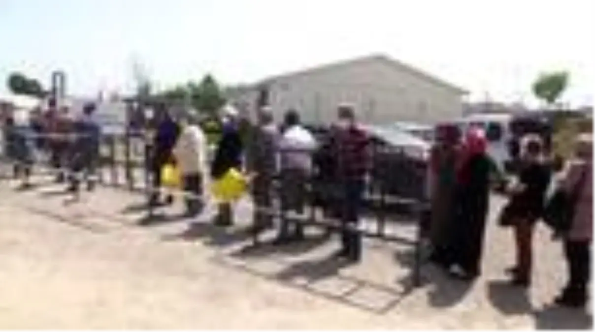 Kastamonu Belediyesi 'ata tohumları'ndan yetiştirilen 45 bin fide dağıtıldı