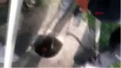 NİĞDE Kuyuya düşen horoz, kurtarıldı