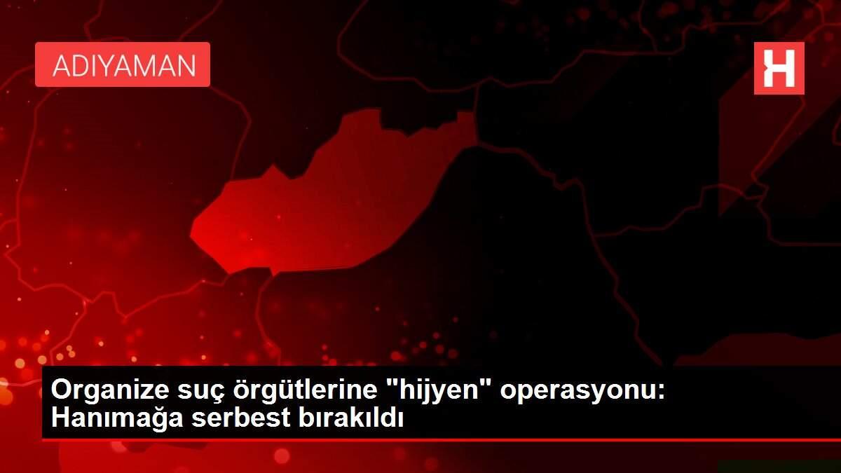 Organize suç örgütlerine 'hijyen' operasyonu: Hanımağa serbest bırakıldı