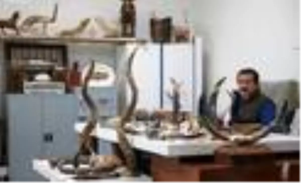 Atık boynuzları sanat eserine dönüştürüyor