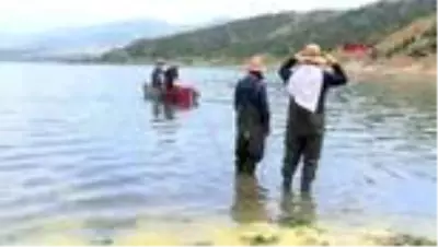 ÇORUM 'Canavar' adı verilen gümüş balığı avcılığı başladı ÇORUM 'Canavar' adı verilen gümüş balığı avcılığı başladı