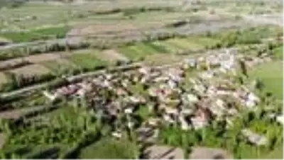 Erzincan’ın 16 yıllık leylek sakinleri yine aynı yuvalarına yerleşti