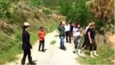 İzmir'de 'yeşil çekirgeyle' mücadele devam ediyor İzmir'de 'yeşil çekirgeyle' mücadele devam ediyor