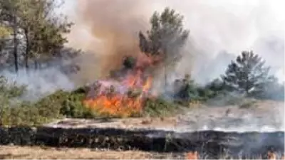 KKTC'de üç farklı bölgede yangın devam ediyor KKTC'de üç farklı bölgede yangın devam ediyor