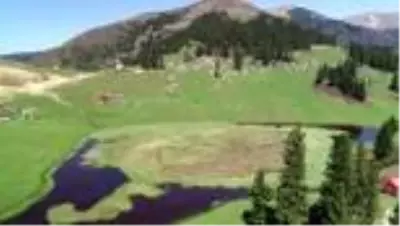 Sakinlerinin 'bir çuval altına değişmediği' yayla: Gölyanı Sakinlerinin 'bir çuval altına değişmediği' yayla: Gölyanı