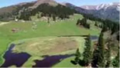 Sakinlerinin 'bir çuval altına değişmediği' yayla: Gölyanı Sakinlerinin 'bir çuval altına değişmediği' yayla: Gölyanı