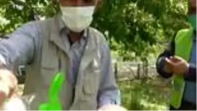 Sokağa çıkmaları kısıtlı yaşlılar, evlerinin önünde ücretsiz tıraş ediliyor Sokağa çıkmaları kısıtlı yaşlılar, evlerinin önünde ücretsiz tıraş ediliyor