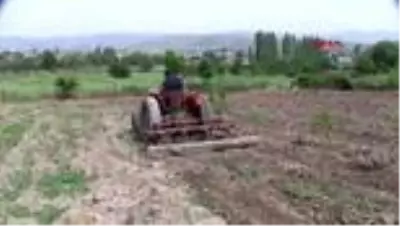 BALIKESİR'de kısıtlamadan muaf çiftçiler üretime devam ediyor BALIKESİR'de kısıtlamadan muaf çiftçiler üretime devam ediyor