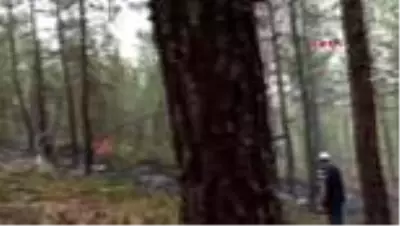 Bursa'da orman yangını: 1 hektarlık alan zarar gördü Bursa'da orman yangını: 1 hektarlık alan zarar gördü