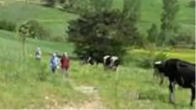 ’İnek otlatırken EBA’da canlı derse katılan kız’ hukuk okumak istiyor - BALIKESİR