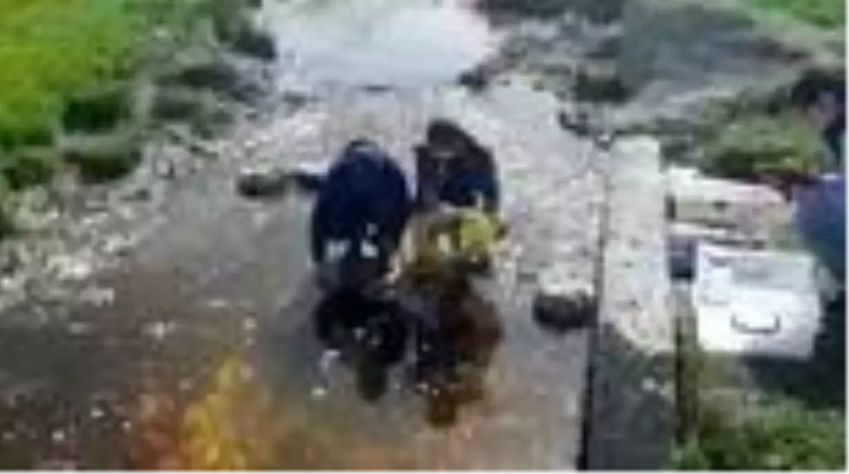 Ölü balıklar ekipleri harekete geçirdi