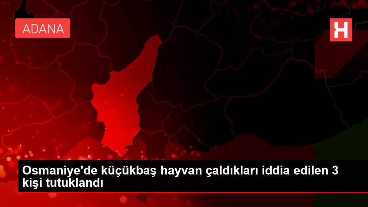 Osmaniye'de küçükbaş hayvan çaldıkları iddia edilen 3 kişi tutuklandı