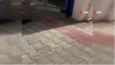 Sıcaklar tavan yaptı, yılanlar ortaya çıkmaya başladı Sıcaklar tavan yaptı, yılanlar ortaya çıkmaya başladı