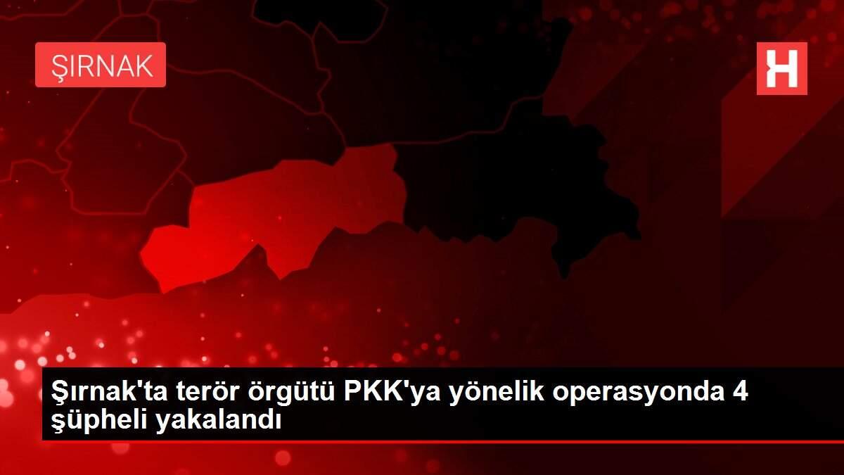 Şırnak'ta terör örgütü PKK'ya yönelik operasyonda 4 şüpheli yakalandı