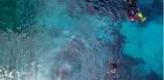 Gökpınar: SİVAS Doğal akvaryum 'Gökpınar Gölü', yeni projeyle daha da güzelleşecek- tekrar Gökpınar: SİVAS Doğal akvaryum 'Gökpınar Gölü', yeni projeyle daha da güzelleşecek- tekrar
