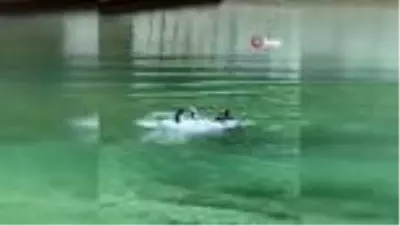 Genç futbolcu ailesiyle birlikte gittiği gölette boğuldu Genç futbolcu ailesiyle birlikte gittiği gölette boğuldu