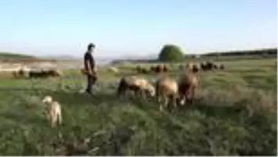 Koronavirüse dikkati çekmek için türkü klibi hazırladılar Koronavirüse dikkati çekmek için türkü klibi hazırladılar