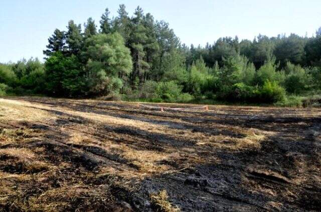 Muğla'da yanan yulaf tarlasında emekli savcının cesedi bulundu