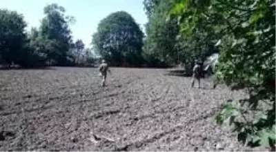 Siirt'te getirisi yüksek olan susam ekimine başladı