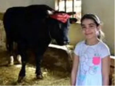 11 yaşındaki Serenay'ın boğa tutkusu 11 yaşındaki Serenay'ın boğa tutkusu