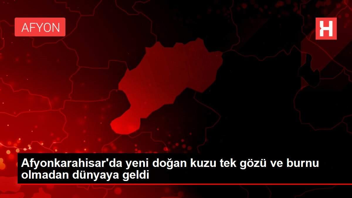 Afyonkarahisar'da yeni doğan kuzu tek gözü ve burnu olmadan dünyaya geldi Afyonkarahisar'da yeni doğan kuzu tek gözü ve burnu olmadan dünyaya geldi