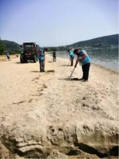 Balıkesir Büyükşehir sahilleri yaza hazırlanıyor