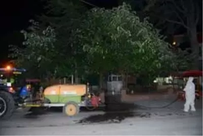 Çorum Belediyesi yaprak bitine karşı erken harekete geçti Çorum Belediyesi yaprak bitine karşı erken harekete geçti
