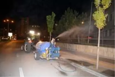 Çorum Belediyesi yaprak bitine karşı erken harekete geçti Çorum Belediyesi yaprak bitine karşı erken harekete geçti