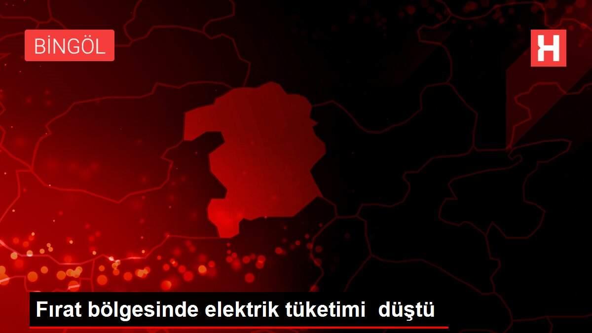 Fırat bölgesinde elektrik tüketimi düştü