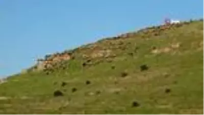 Göçerlerin yaylalara yolculuğu başladı Göçerlerin yaylalara yolculuğu başladı