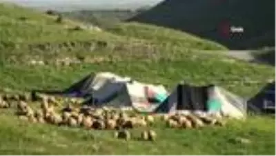 Göçerlerin yaylalara yolculuğu başladı Göçerlerin yaylalara yolculuğu başladı