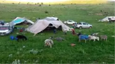 Göçerlerin yaylalara yolculuğu başladı Göçerlerin yaylalara yolculuğu başladı