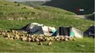 Göçerlerin yaylalara yolculuğu başladı Göçerlerin yaylalara yolculuğu başladı