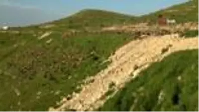 Göçerlerin yaylalara yolculuğu başladı Göçerlerin yaylalara yolculuğu başladı