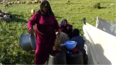 Göçerlerin yaylalara yolculuğu başladı Göçerlerin yaylalara yolculuğu başladı