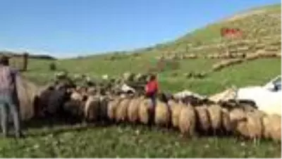 Göçerlerin zorlu yolcuğu başladı Göçerlerin zorlu yolcuğu başladı