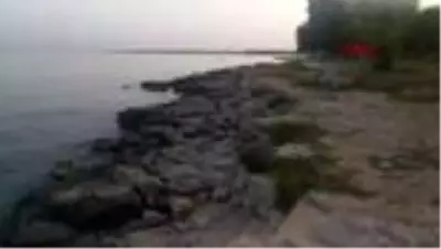 İskelesi yıkılan 10 işletmeci: Bizi korona değil, Didim Belediyesi vurdu İskelesi yıkılan 10 işletmeci: Bizi korona değil, Didim Belediyesi vurdu