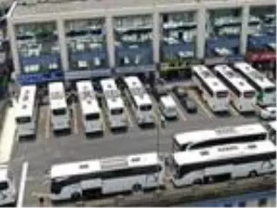 İstanbul'dan onlarca otobüsle çay yolculuğu