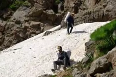 Kilometrelerce yol yürüyüp topladıkları pancarları satarak geçimlerini sağlıyorlar Kilometrelerce yol yürüyüp topladıkları pancarları satarak geçimlerini sağlıyorlar