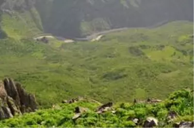 Kilometrelerce yol yürüyüp topladıkları pancarları satarak geçimlerini sağlıyorlar Kilometrelerce yol yürüyüp topladıkları pancarları satarak geçimlerini sağlıyorlar