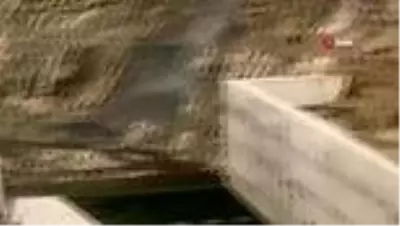 Mahsur kalan 7 yaban ördeği yavrusunu belediye başkanı kurtardı Mahsur kalan 7 yaban ördeği yavrusunu belediye başkanı kurtardı