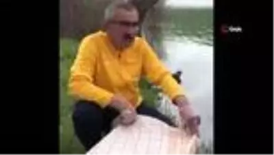 Mahsur kalan 7 yaban ördeği yavrusunu belediye başkanı kurtardı Mahsur kalan 7 yaban ördeği yavrusunu belediye başkanı kurtardı