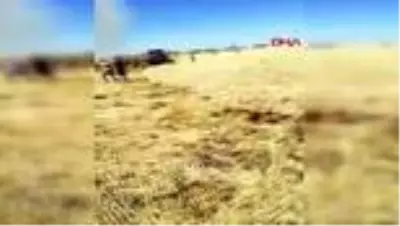 Mardin’de, buğday ekili 30 dönüm alan yandı